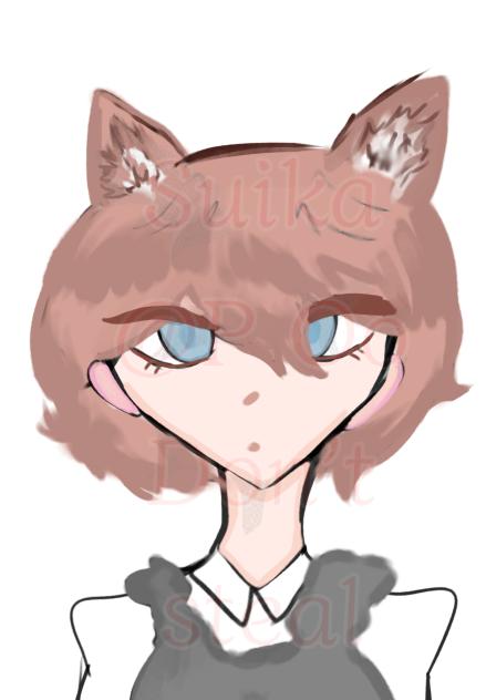 Dtiys entry cat