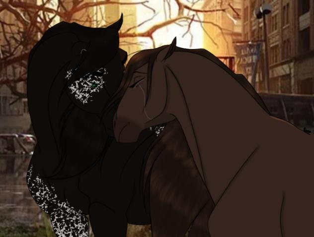 ~ Dantes Comfort ~