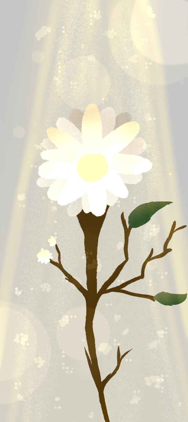 White flower - ibisPaint