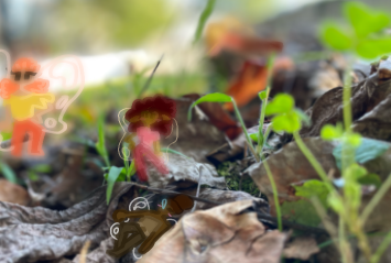 Fairies I guess