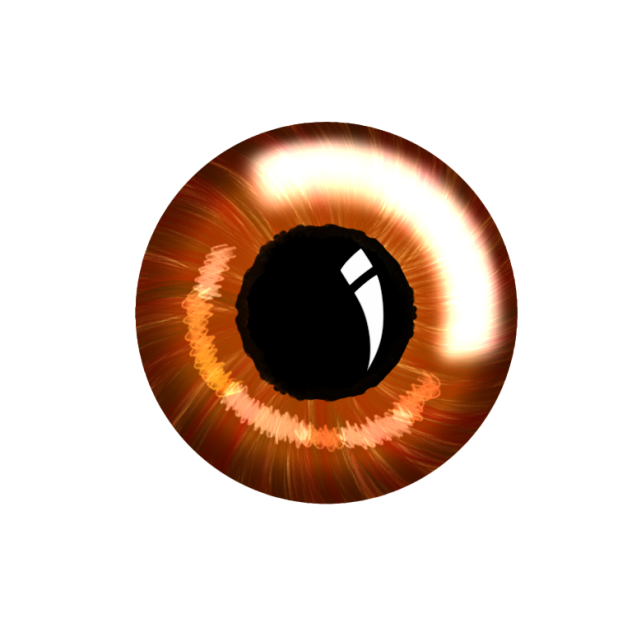 brown eye ibisPaint
