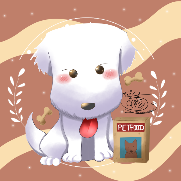 🐾シュシュ🐾