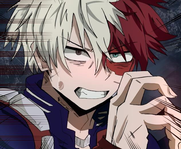 Shoto Todoroki- MHA