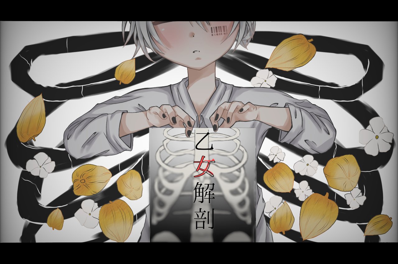 乙女解剖 Ibispaint