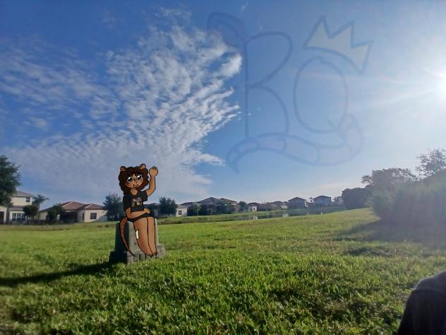its nice and sunny