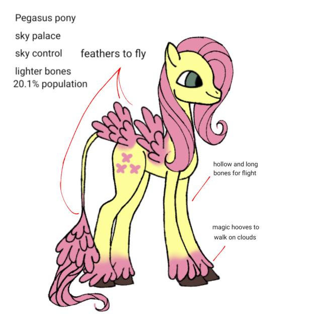 Pegasus