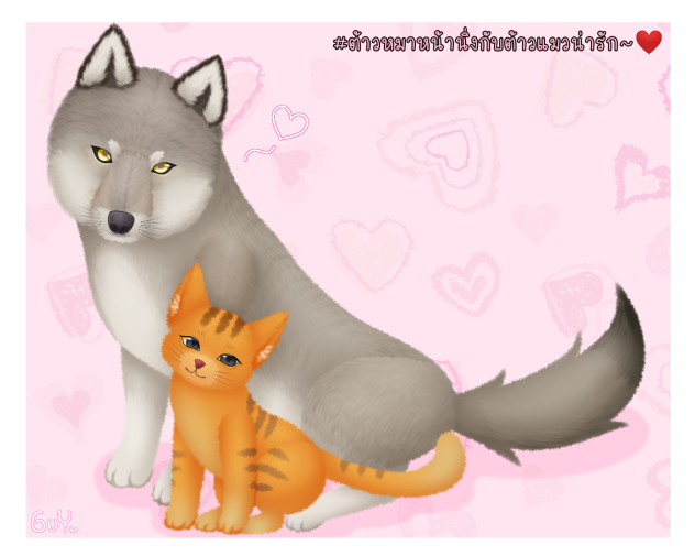 Cat And Wolf