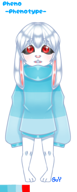 Pheno The Write Rabbit