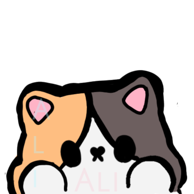 Calico cat