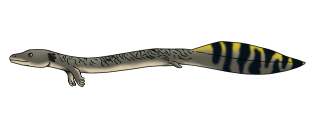Gray Huasenack render