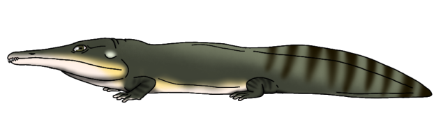 Melosaurus uralensis render
