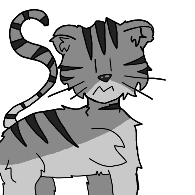 White tiger🐾