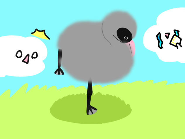フラミンゴの赤ちゃん