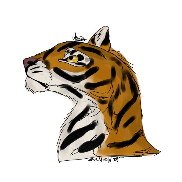 tiger