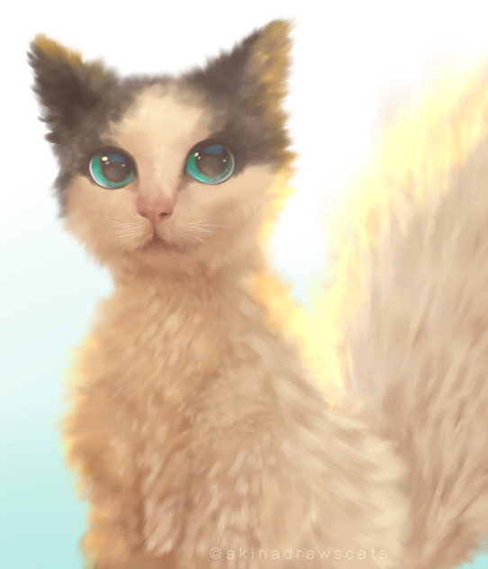 Fluffy