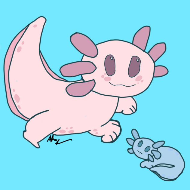 axolotl