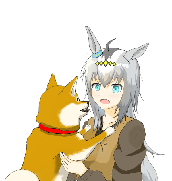 柴犬×オグリキャップ