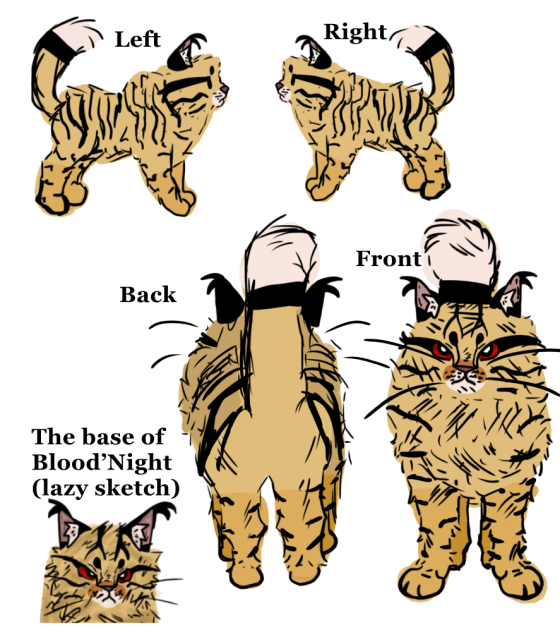 The base of Blood’Night (oc)