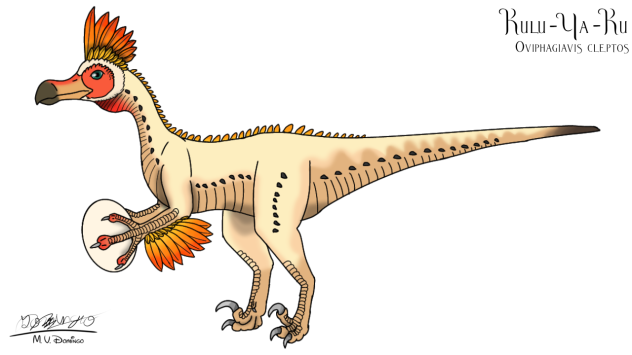 Kulu Ya Ku