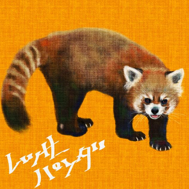 レッサーパンダくん　ネット画像参照