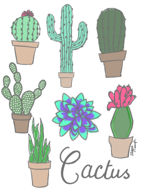 Cactus and Succulent Speed Paint