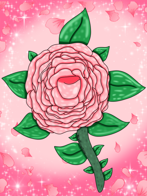 Pink Rose
