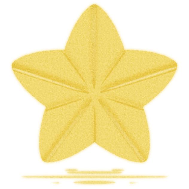 Paper Star