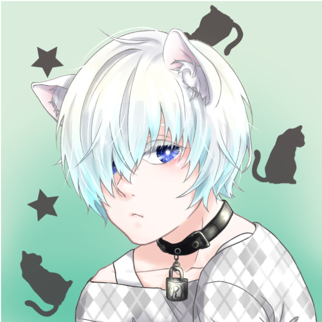 白猫🐱
