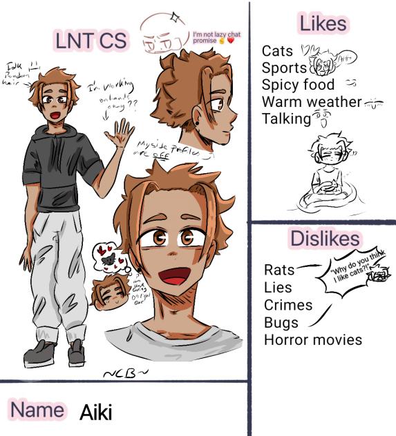 Bestie Cs sheet thing