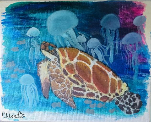 Sea Turtle!