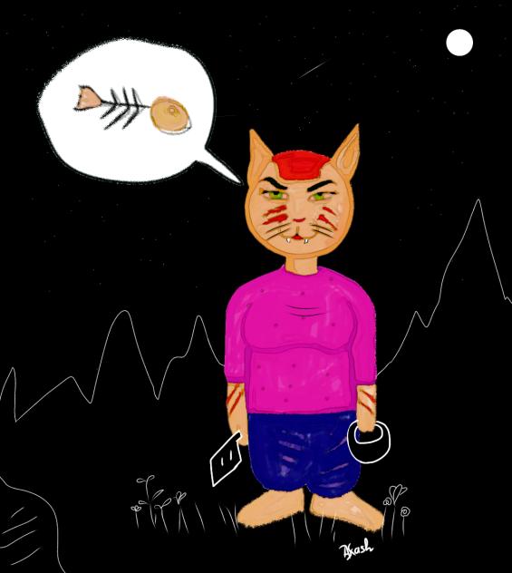 CAT 😺2