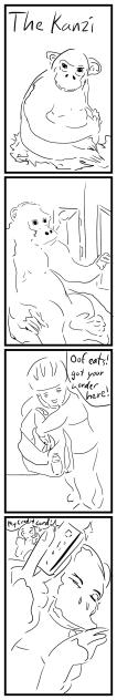 The Kanzi