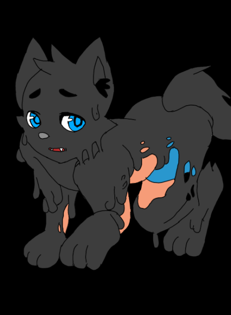 Transfurmation