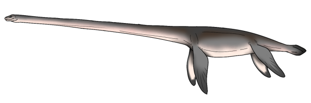Elasmosaurus platyurus render