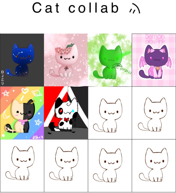 Cat 👌