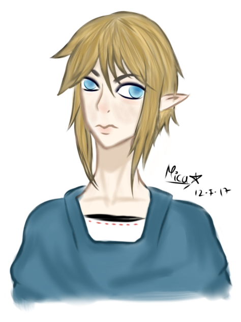 Link Breath of the Wild - ibisPaint