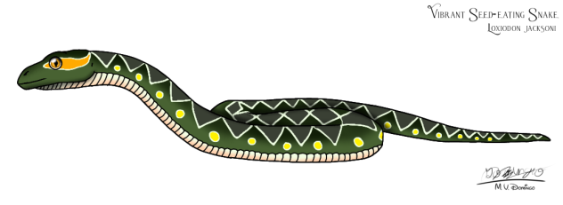 Vibrant Seed-eating Snake