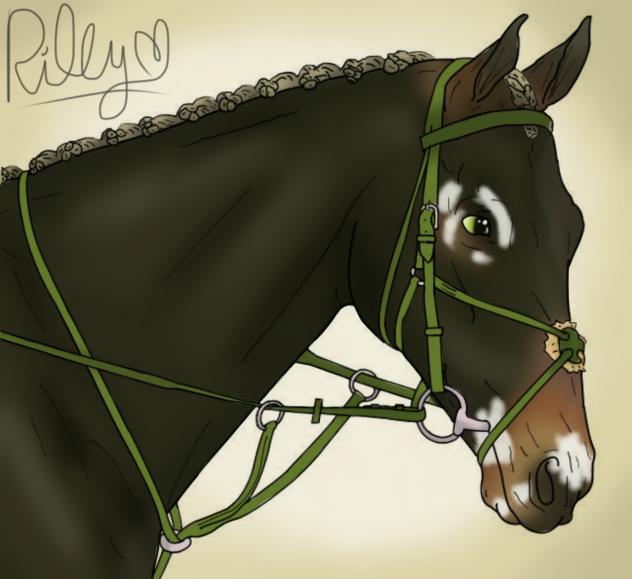 Horse idk lol i like it tho