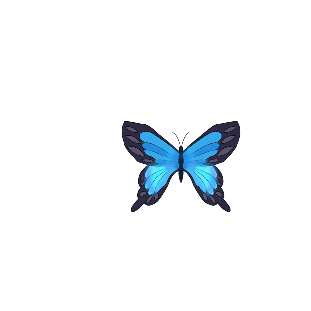 Papilio Ulysses