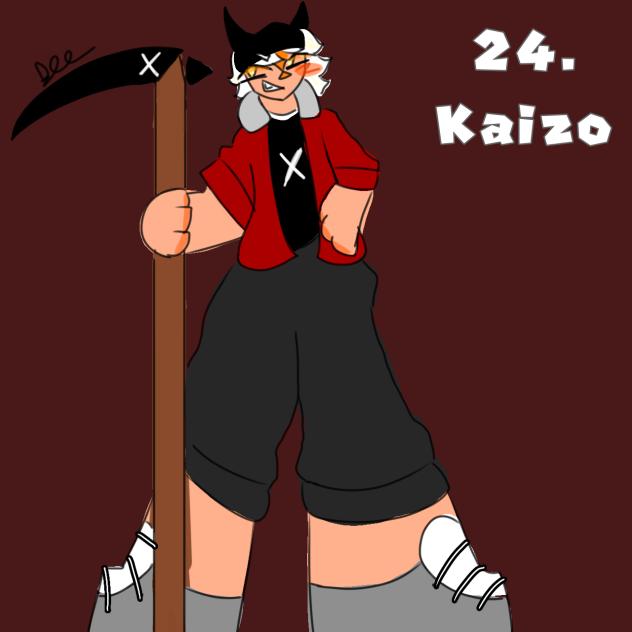 24. Kaizo