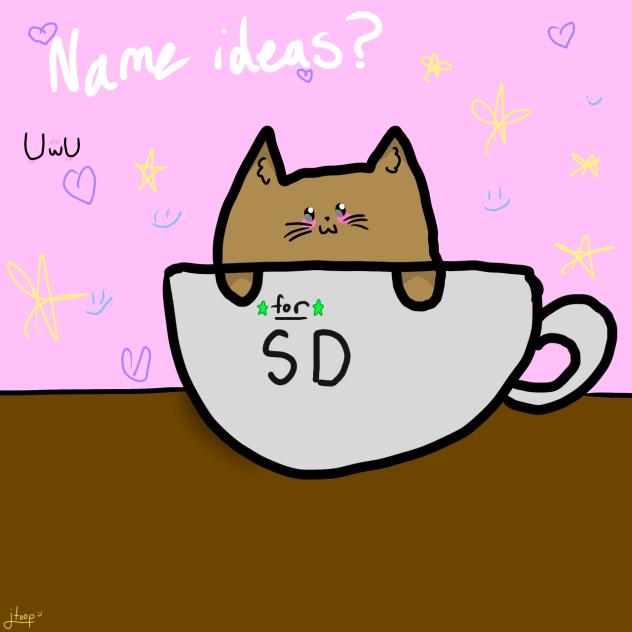 Idk 🤷‍♀️