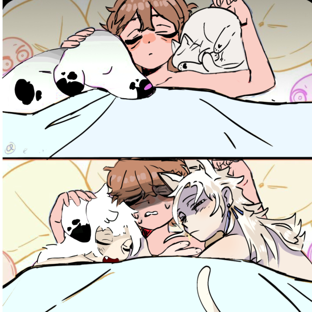 Collab cat and dog