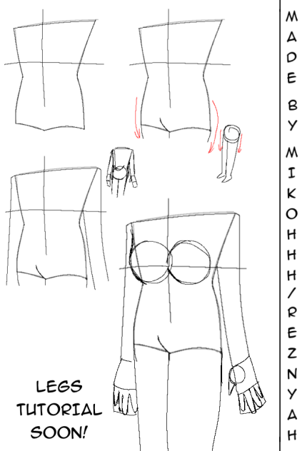 Torso (body) tutorial