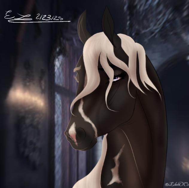 ~ Baela Targaryen ~