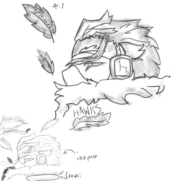 hawks