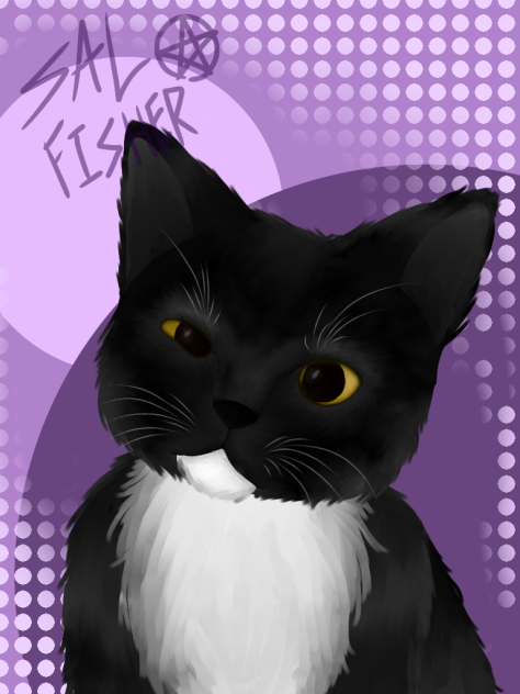 kitty 🖤 - ibisPaint