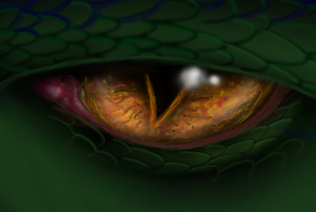 eye
