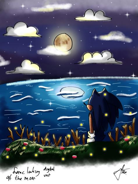 Sonic is looking at the moon 🌙