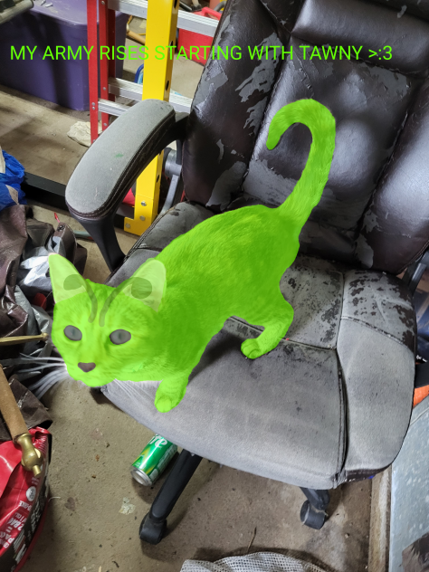 Commander Tawny of the alien cat army