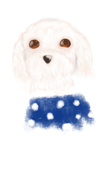 実家の犬
